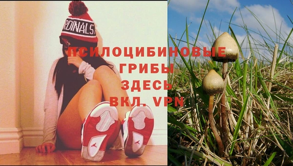 стафф Баксан