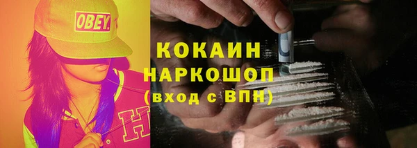 прущие грибы Балахна