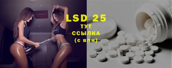 прущие грибы Балахна