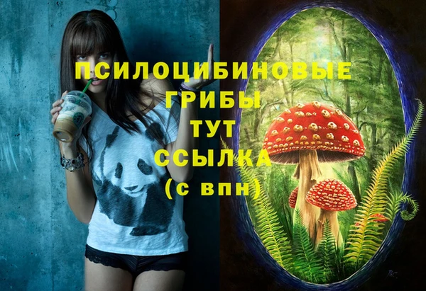 прущие грибы Балахна