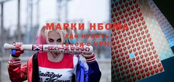 прущие грибы Балахна